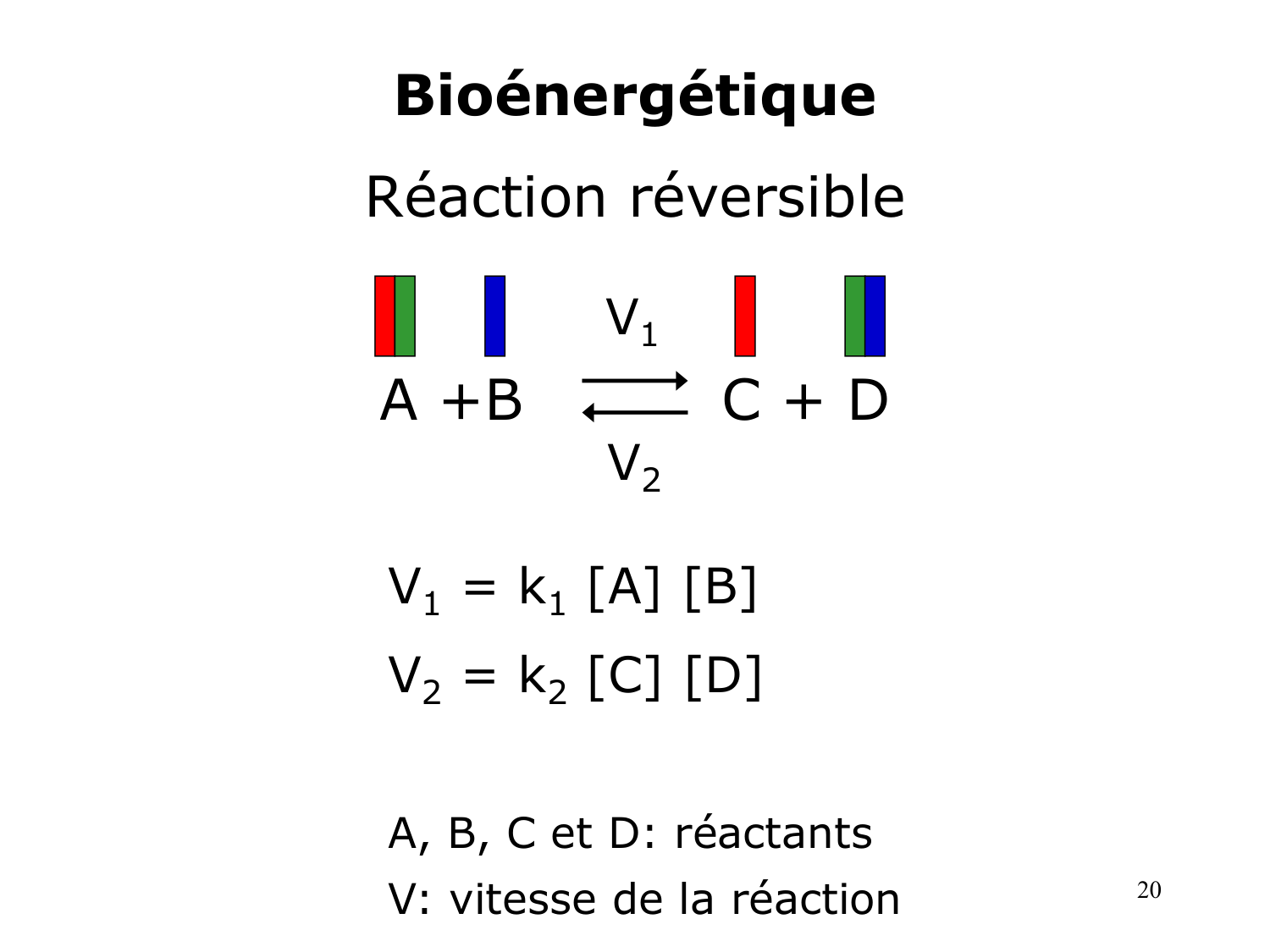 Bioénergétique page 20