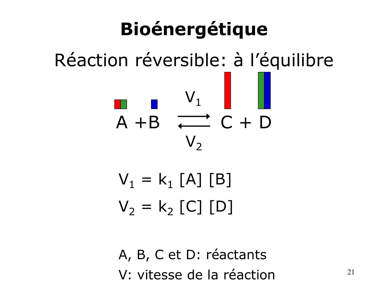 Bioénergétique page 21
