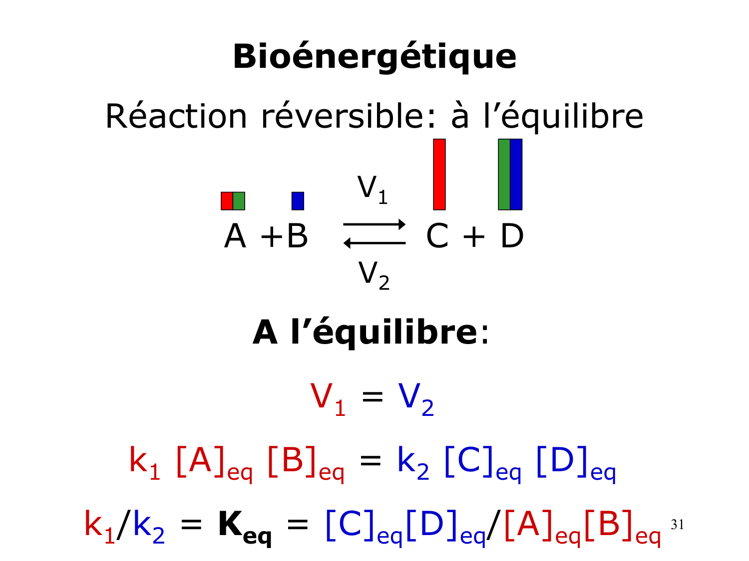 Bioénergétique page 31