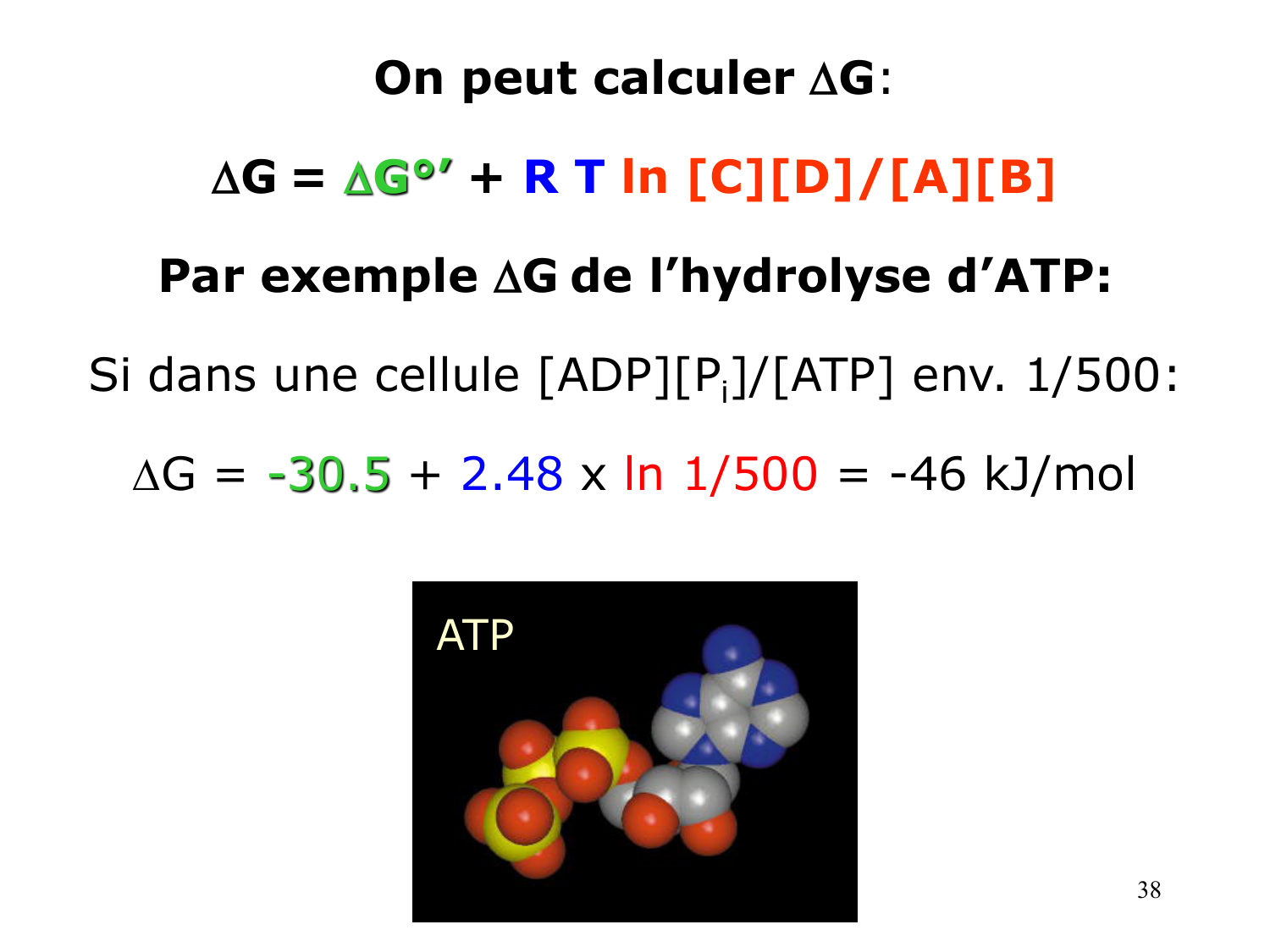 Bioénergétique page 38