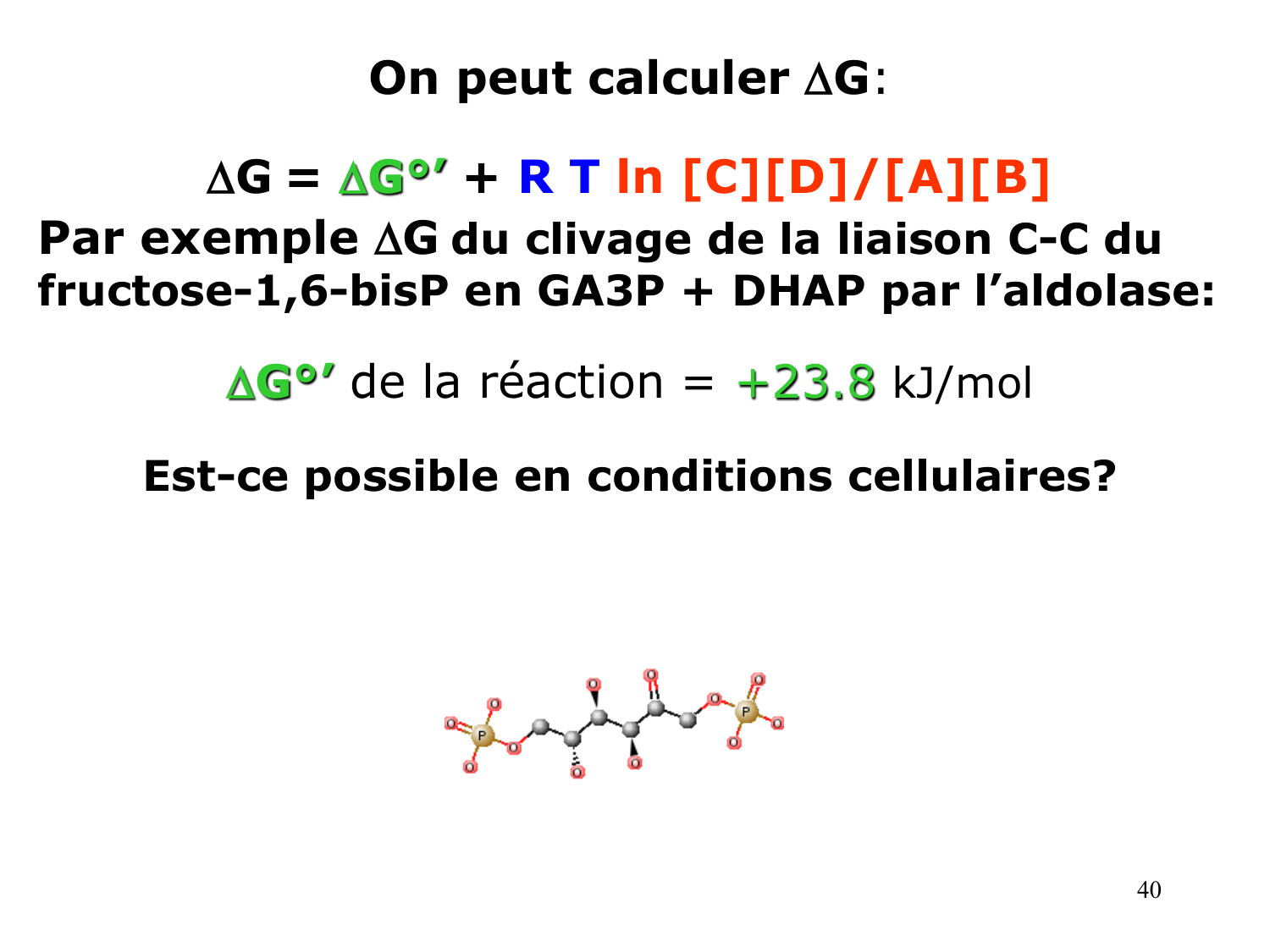 Bioénergétique page 40