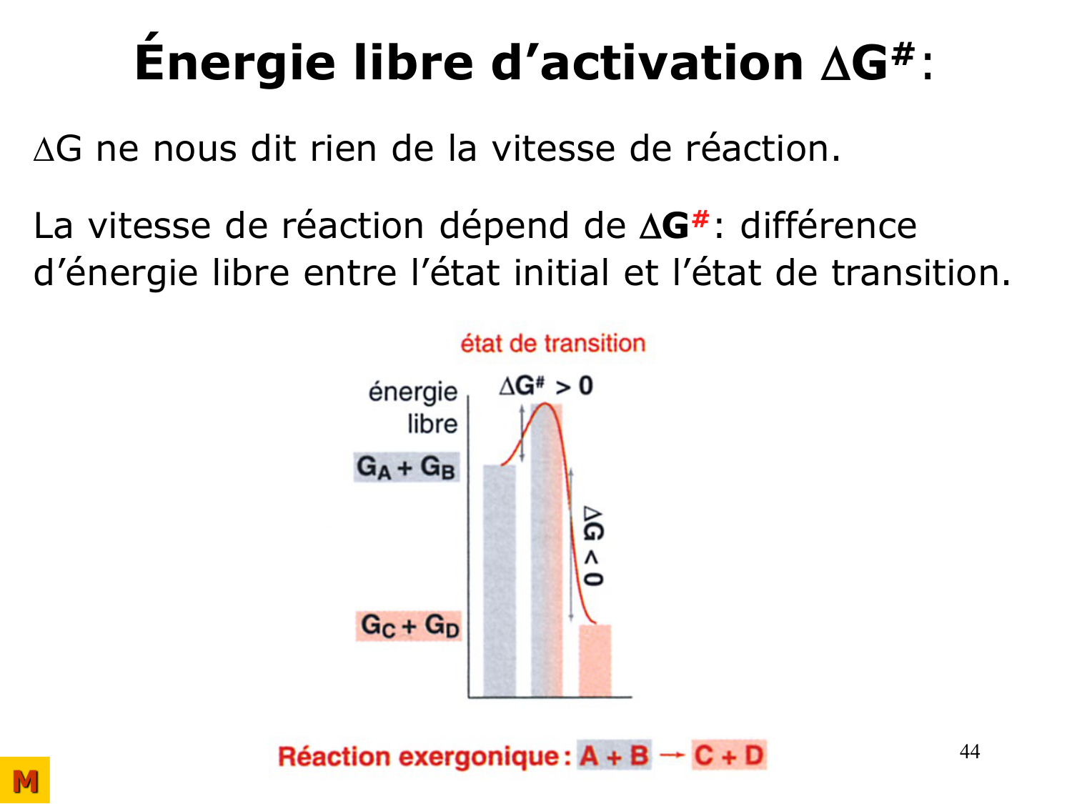 Bioénergétique page 44
