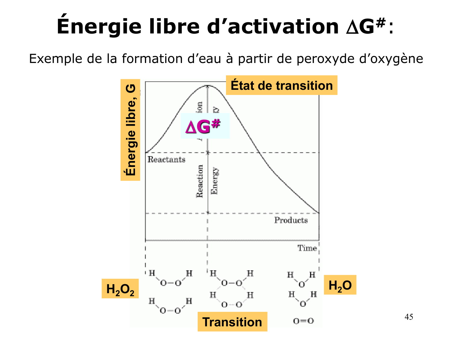 Bioénergétique page 45