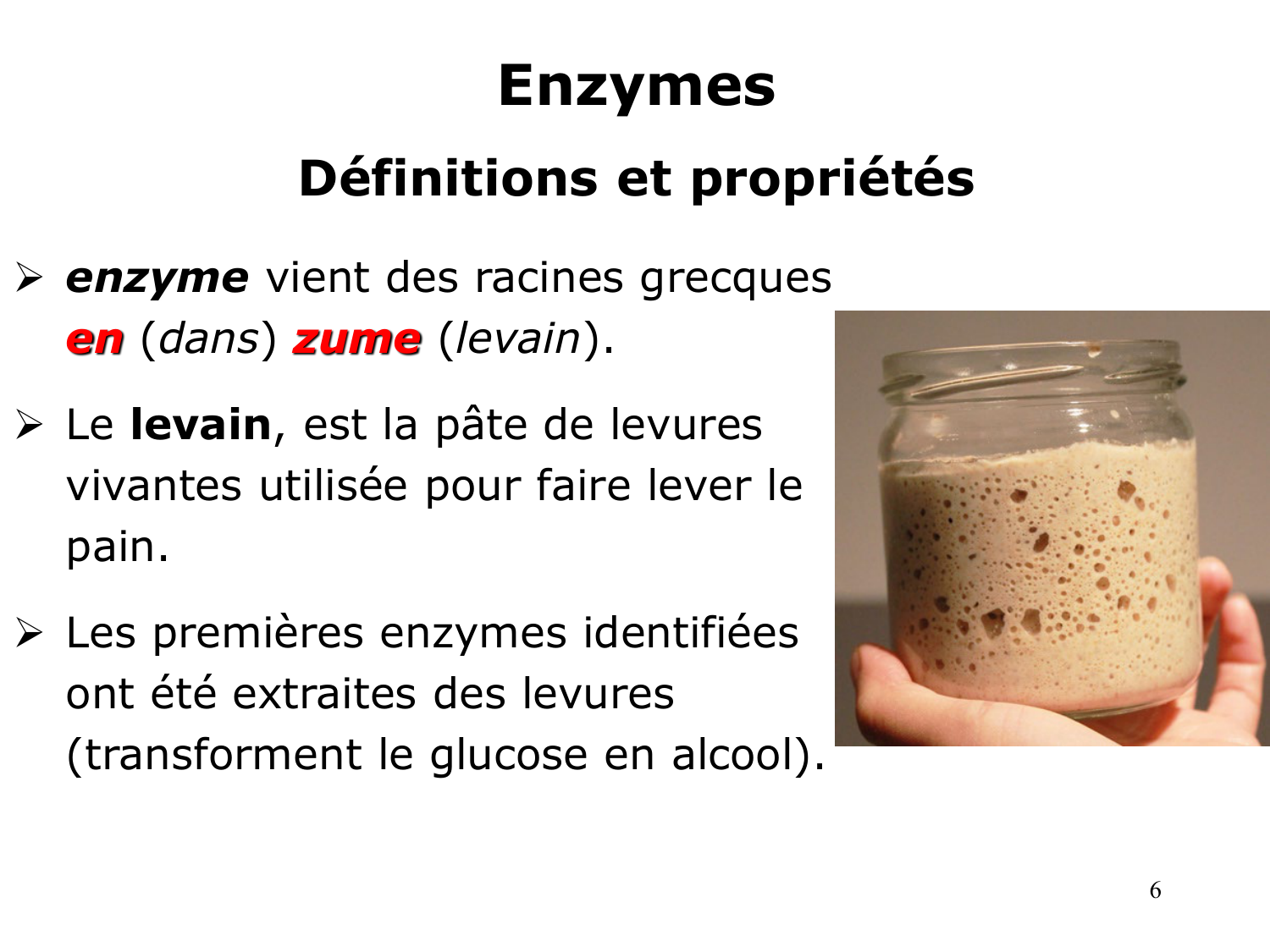 Enzymes I — réaction enzymatique page 6
