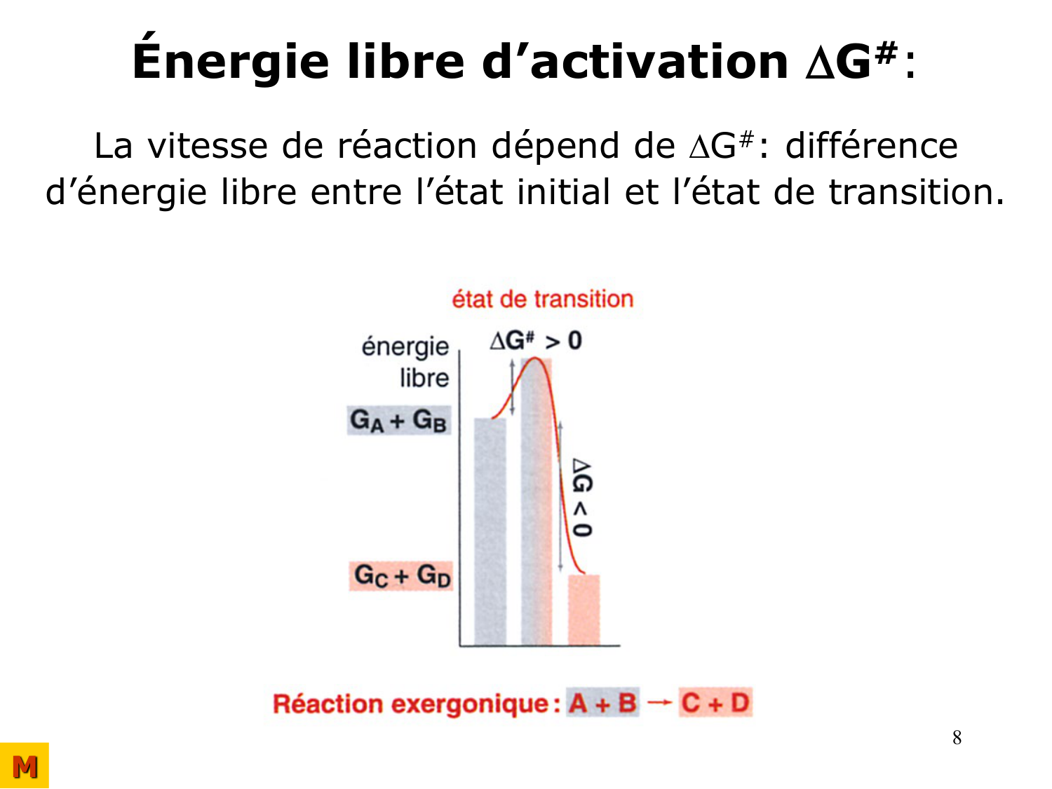 Enzymes I — réaction enzymatique page 8
