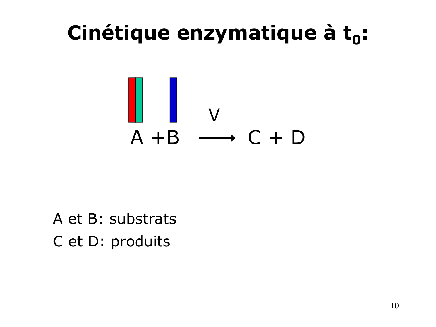 Enzymes I — réaction enzymatique page 10