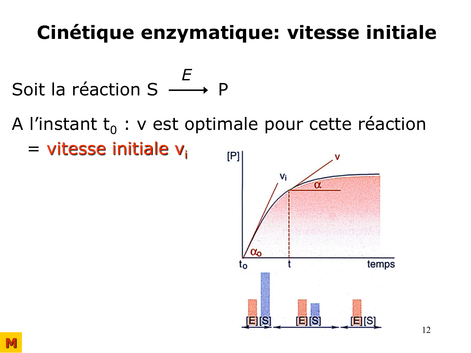Enzymes I — réaction enzymatique page 12