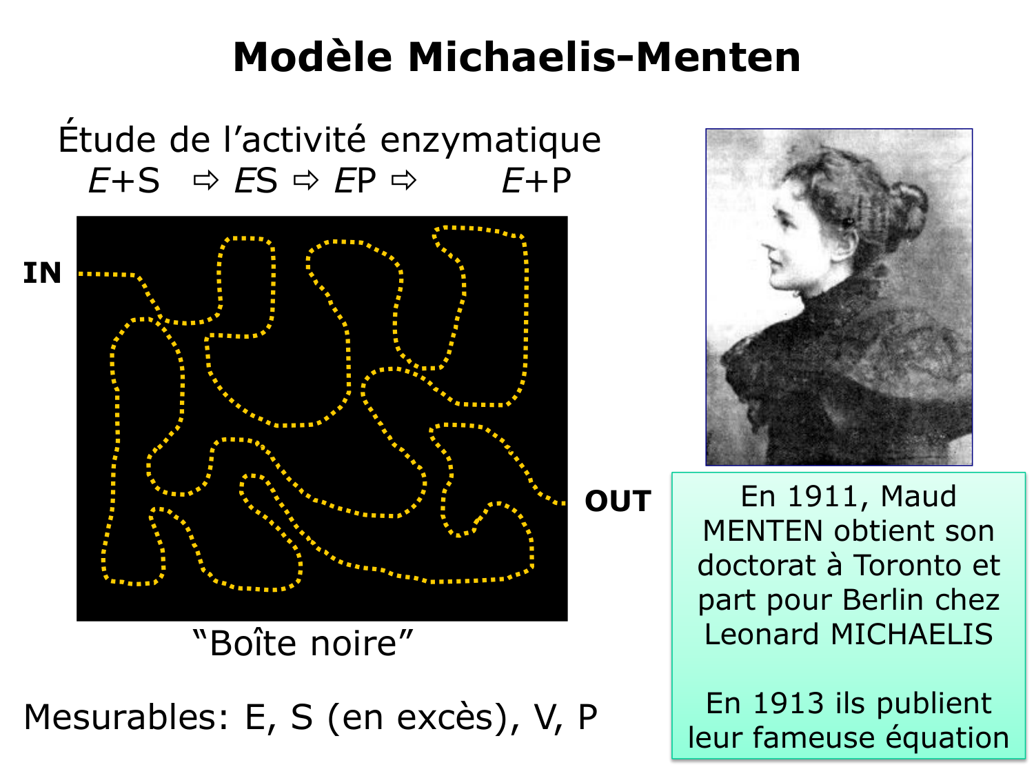 Enzymes I — réaction enzymatique page 17
