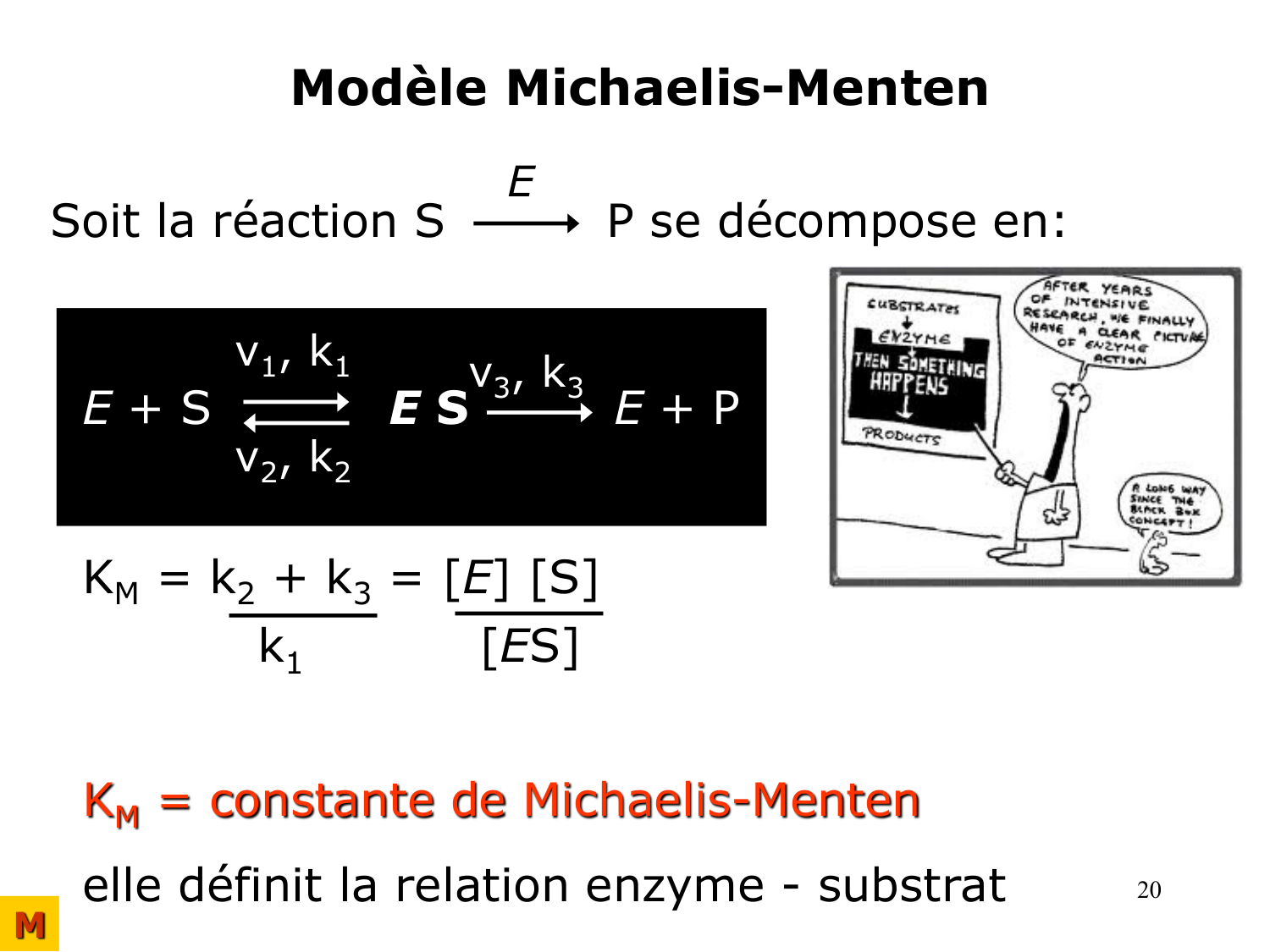 Enzymes I — réaction enzymatique page 20
