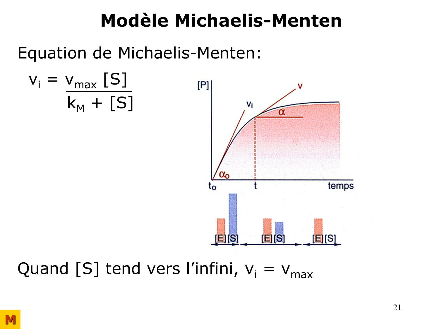 Enzymes I — réaction enzymatique page 21