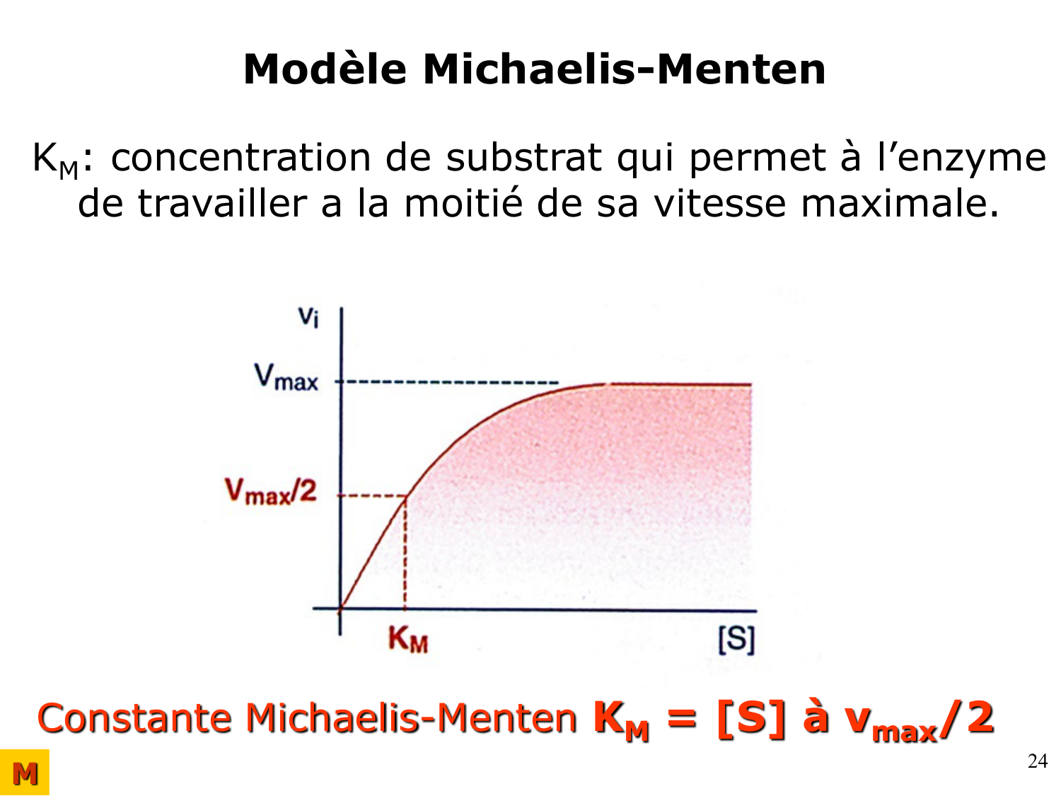 Enzymes I — réaction enzymatique page 24