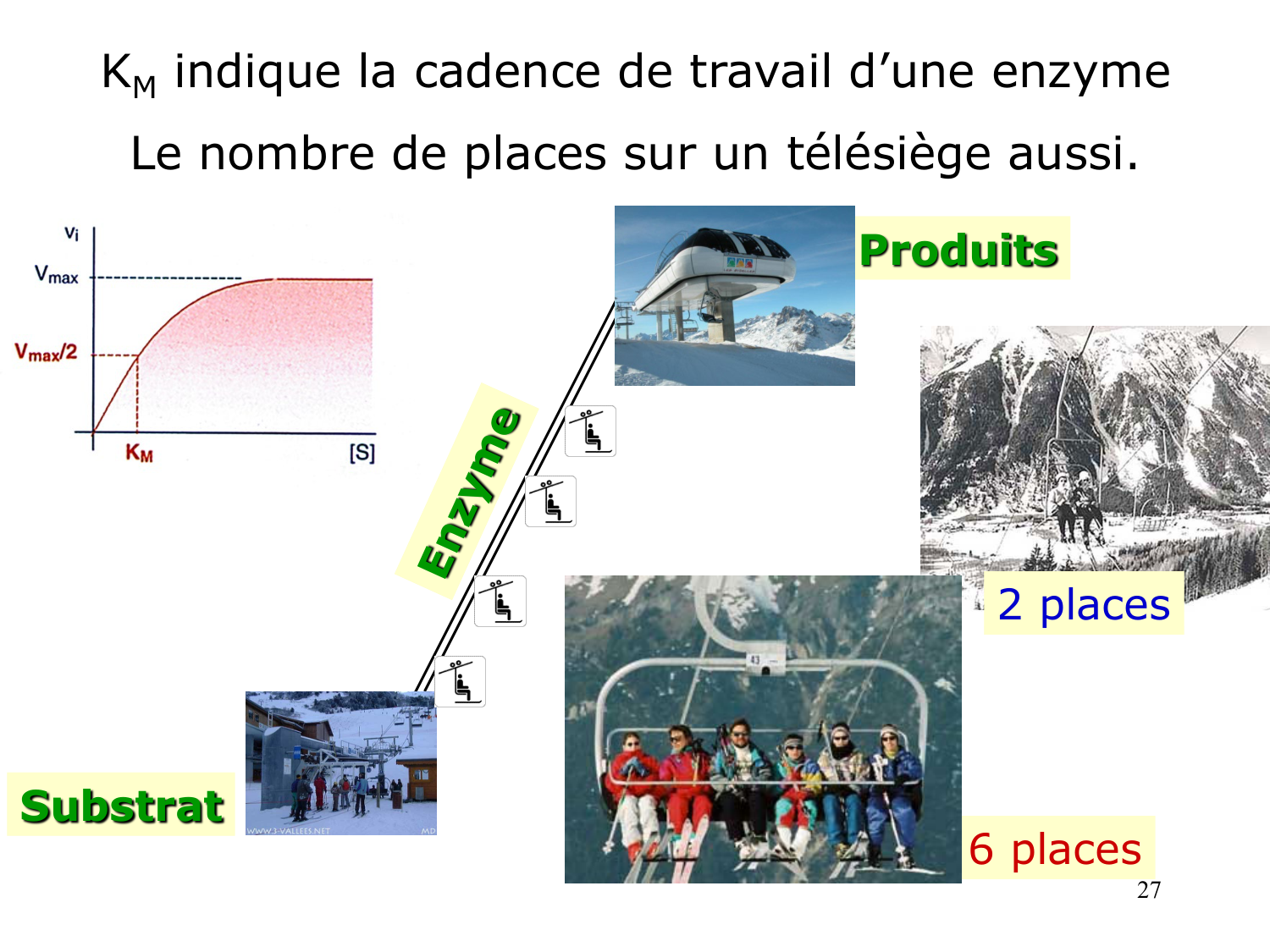 Enzymes I — réaction enzymatique page 27
