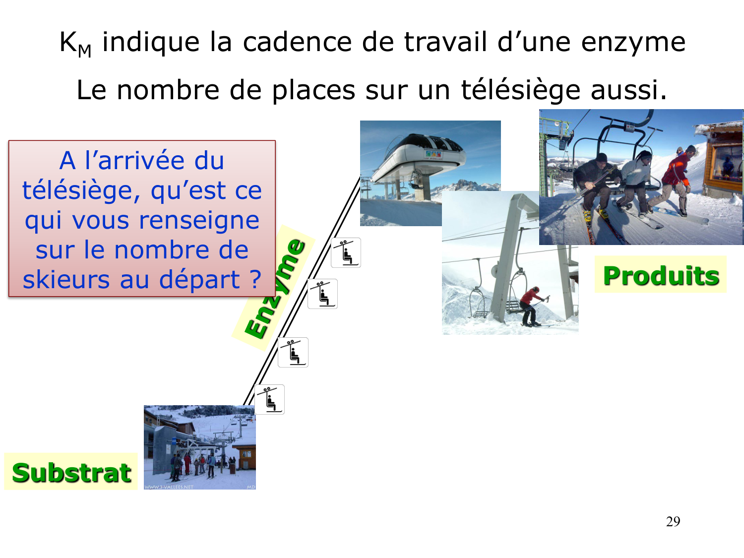 Enzymes I — réaction enzymatique page 29