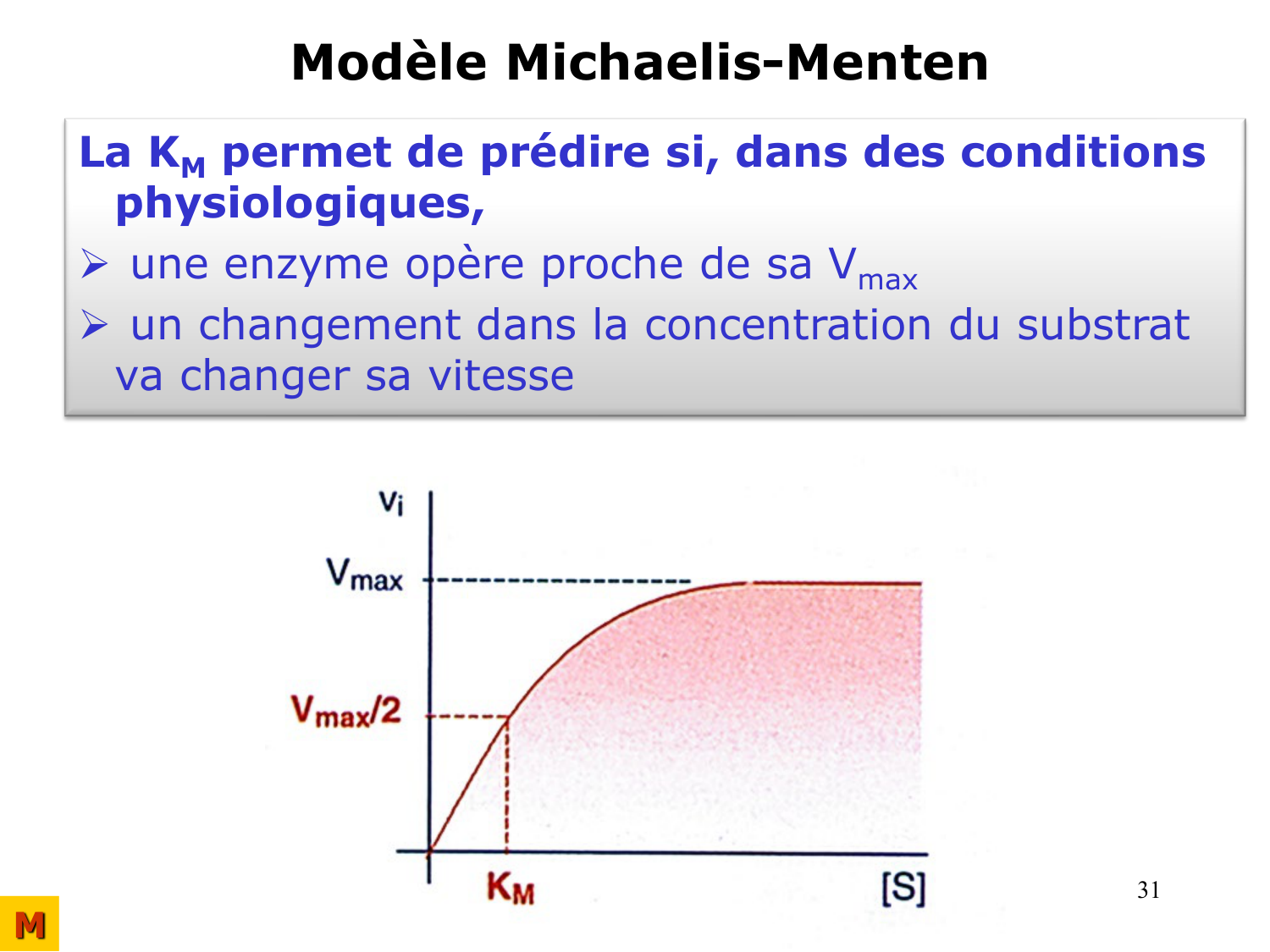 Enzymes I — réaction enzymatique page 31