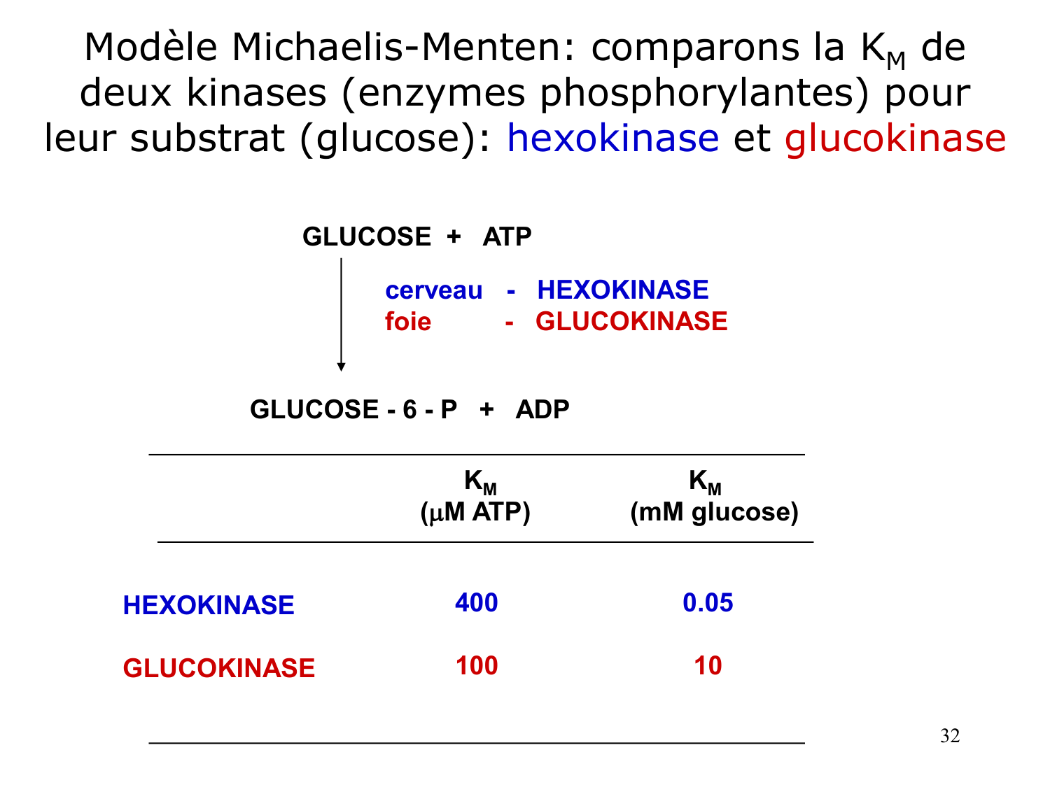 Enzymes I — réaction enzymatique page 32