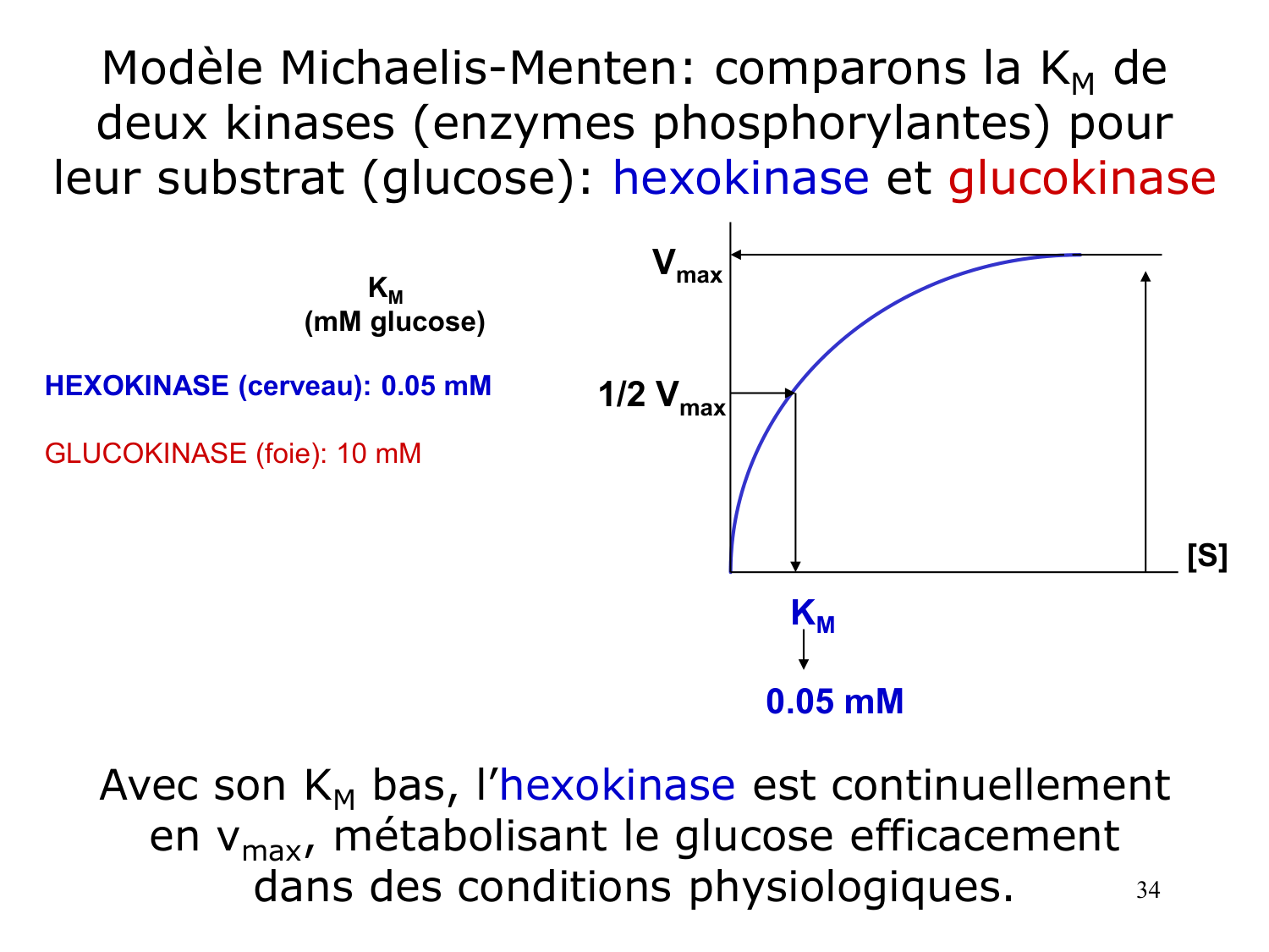 Enzymes I — réaction enzymatique page 34