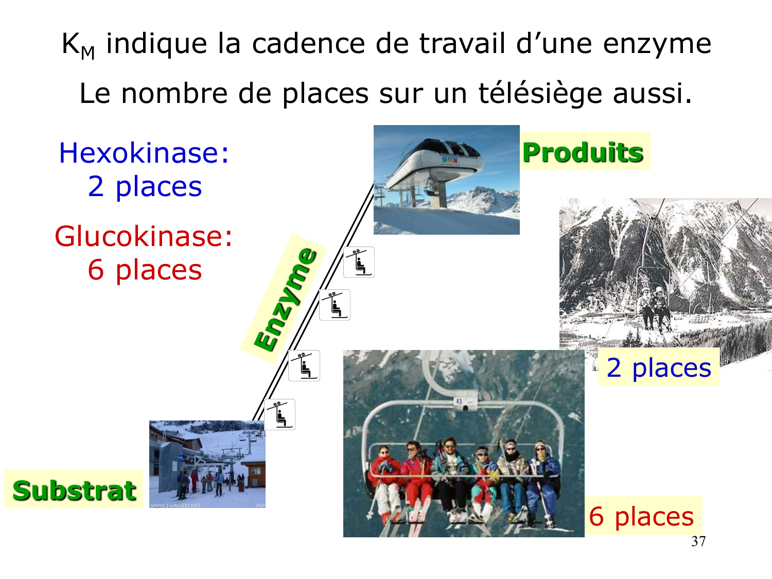 Enzymes I — réaction enzymatique page 37