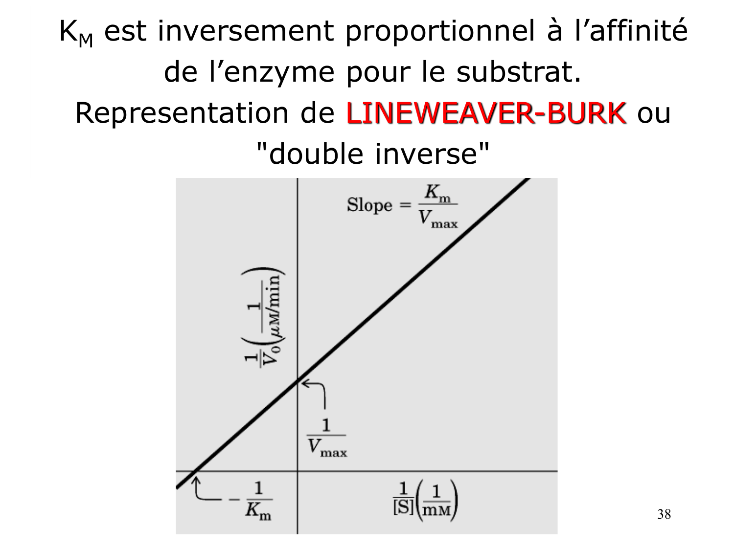 Enzymes I — réaction enzymatique page 38