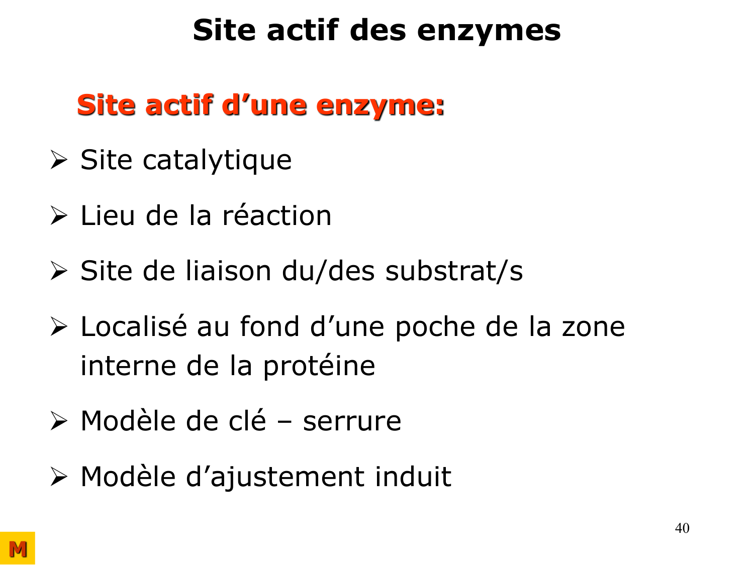 Enzymes I — réaction enzymatique page 40