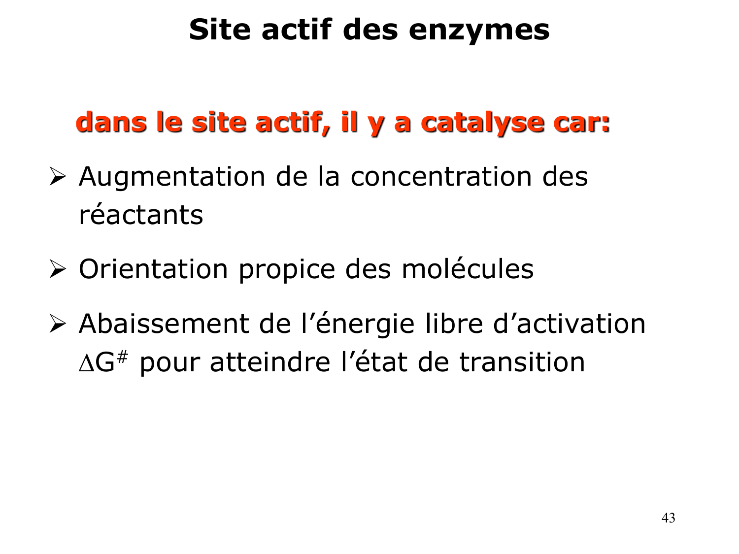 Enzymes I — réaction enzymatique page 43