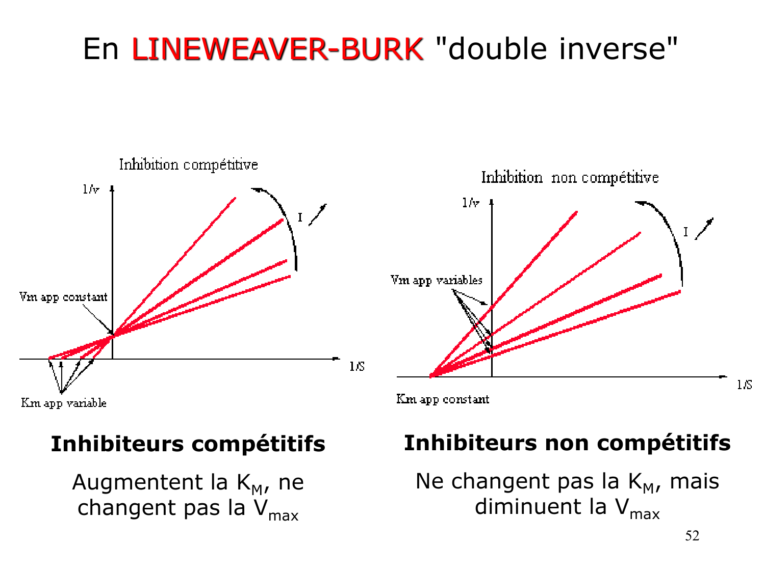 Enzymes I — réaction enzymatique page 52