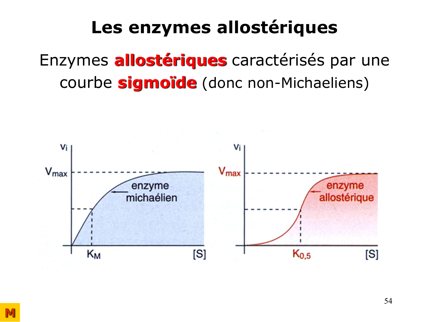 Enzymes I — réaction enzymatique page 54