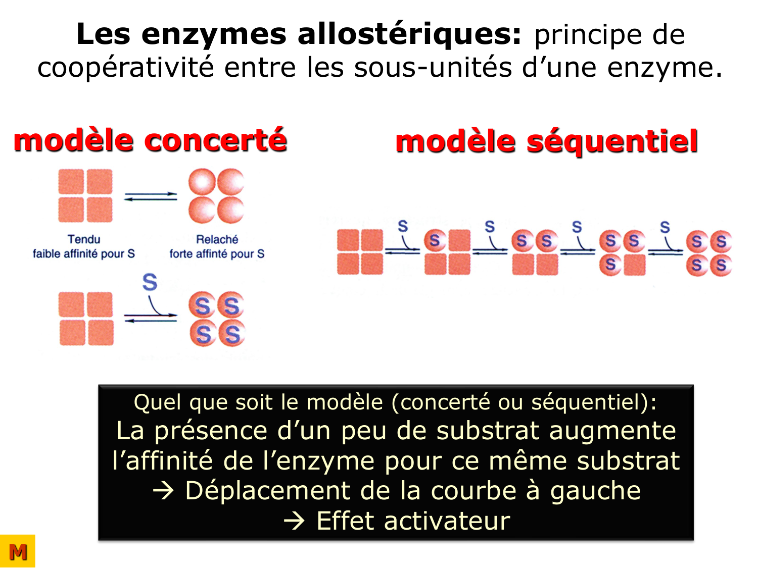 Enzymes I — réaction enzymatique page 58
