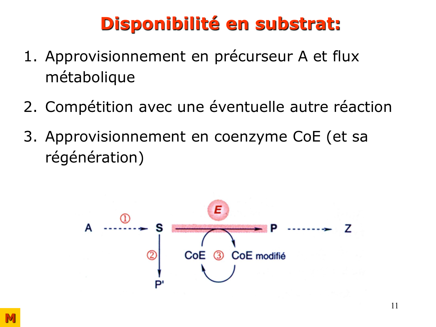 Enzymes II — régulation et coenzymes page 11