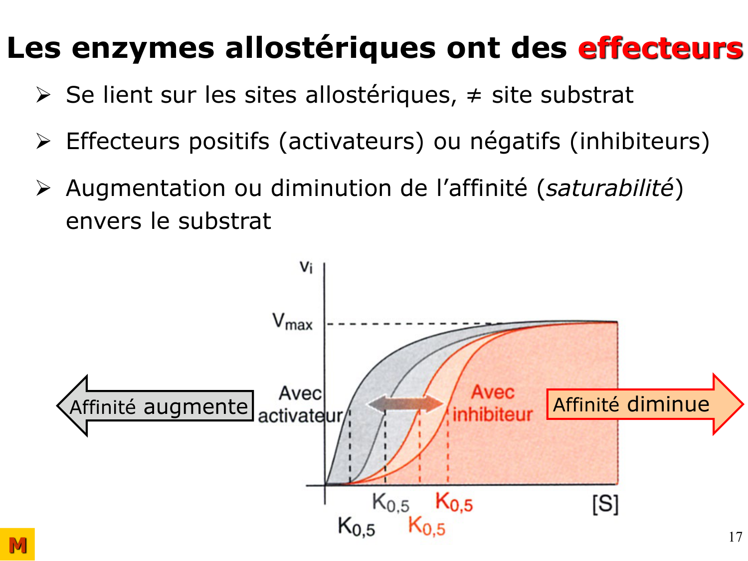 Enzymes II — régulation et coenzymes page 17