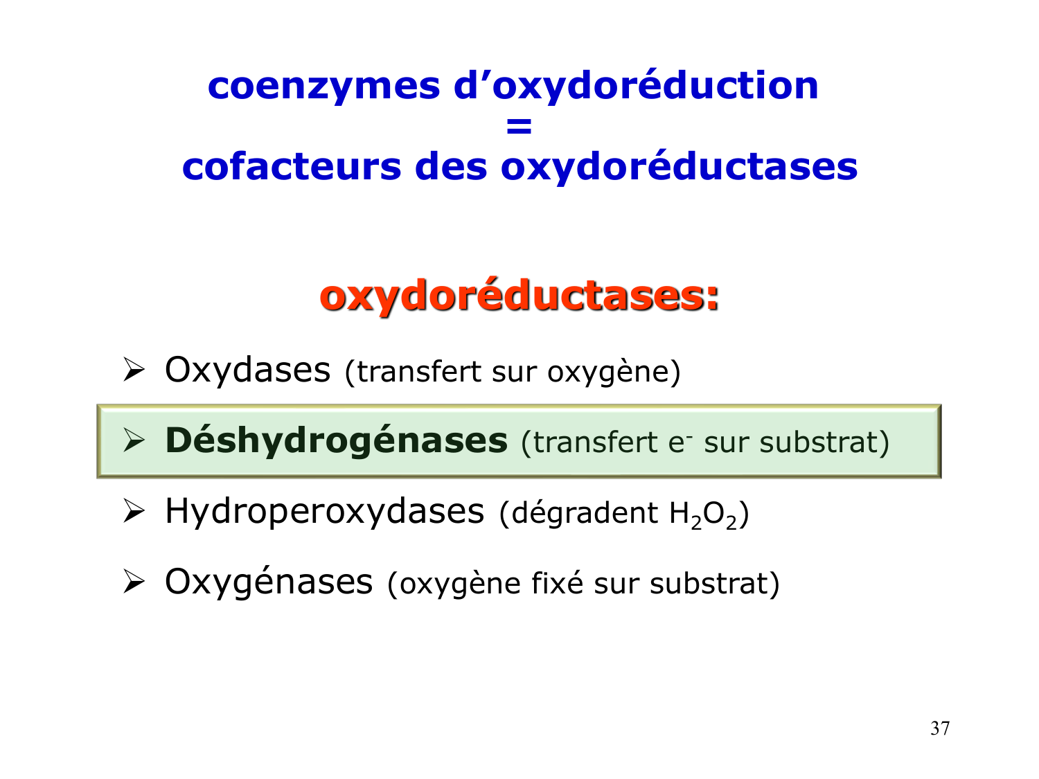 Enzymes II — régulation et coenzymes page 37