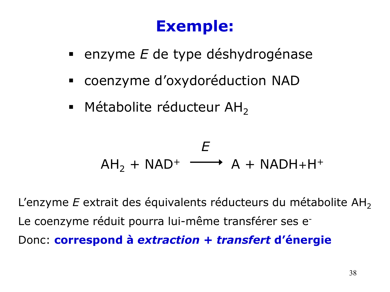 Enzymes II — régulation et coenzymes page 38