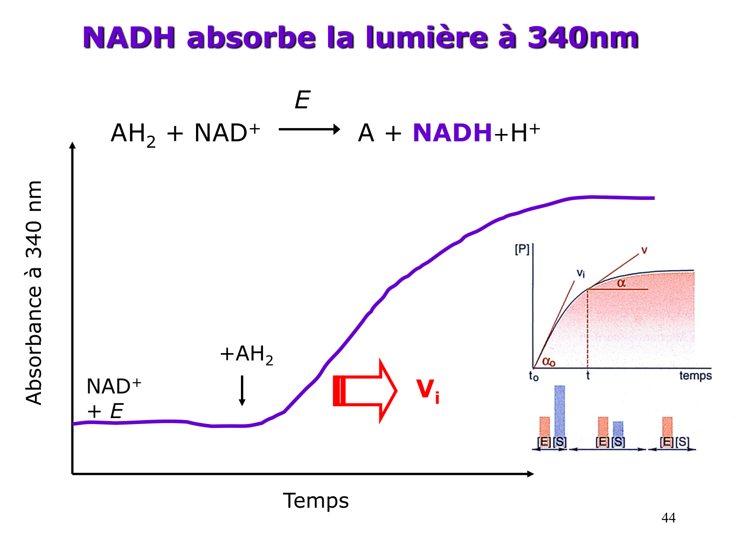 Enzymes II — régulation et coenzymes page 44