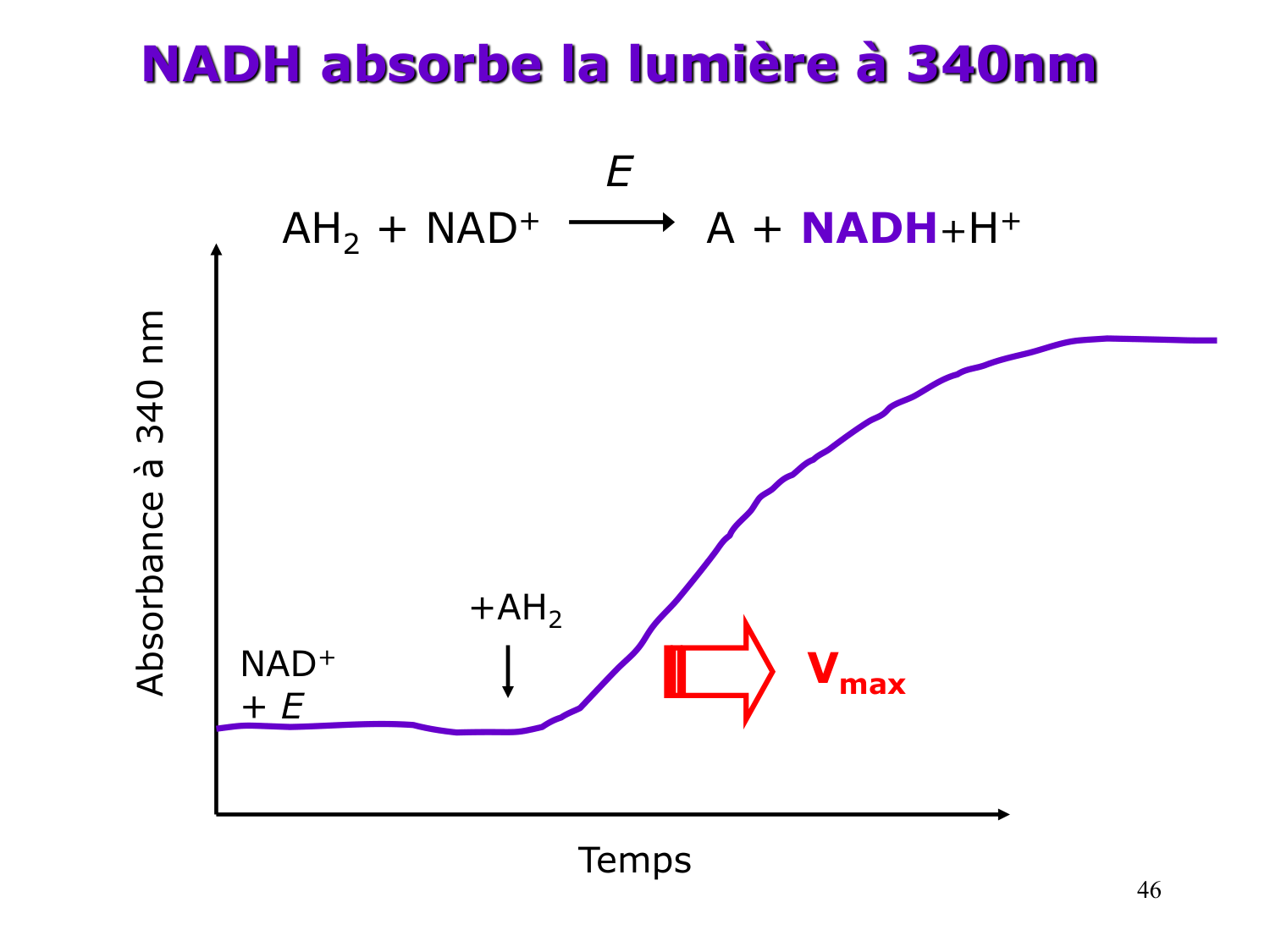 Enzymes II — régulation et coenzymes page 46