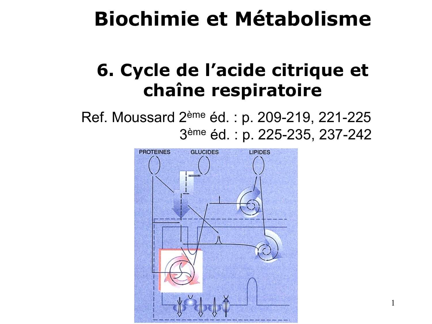 Cycle de l’acide citrique et chaîne respiratoire page 1