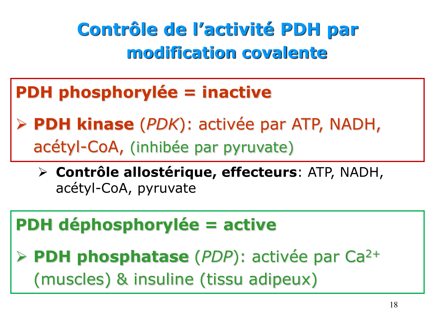Cycle de l’acide citrique et chaîne respiratoire page 18