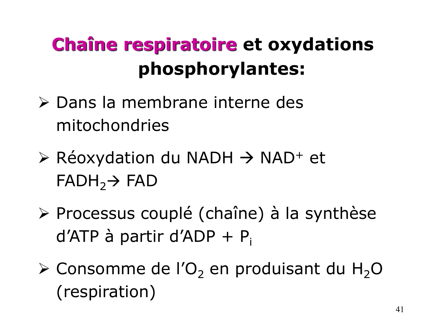 Cycle de l’acide citrique et chaîne respiratoire page 41