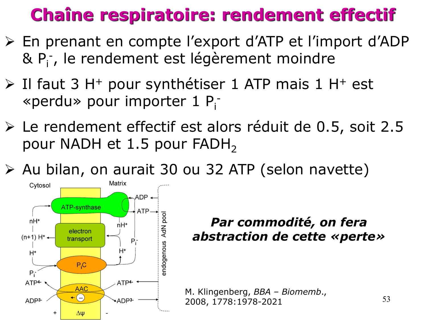 Cycle de l’acide citrique et chaîne respiratoire page 53
