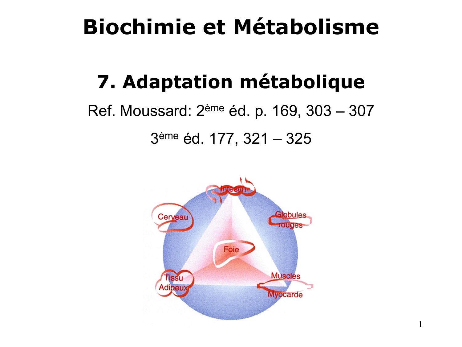 Adaptation métabolique page 1