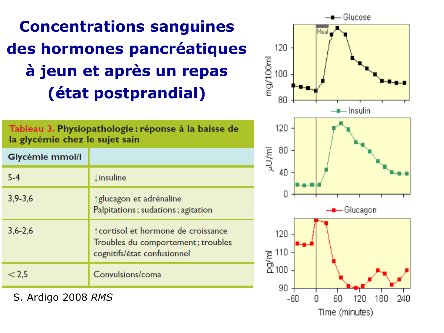 Adaptation métabolique page 16