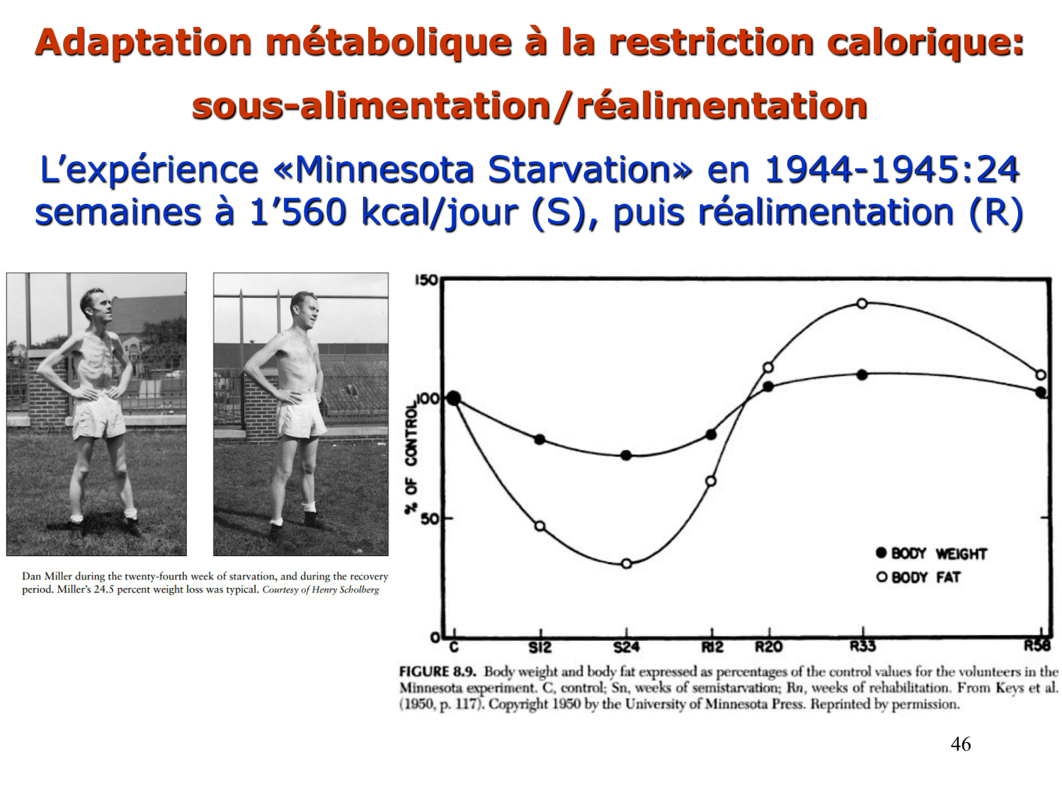 Adaptation métabolique page 46