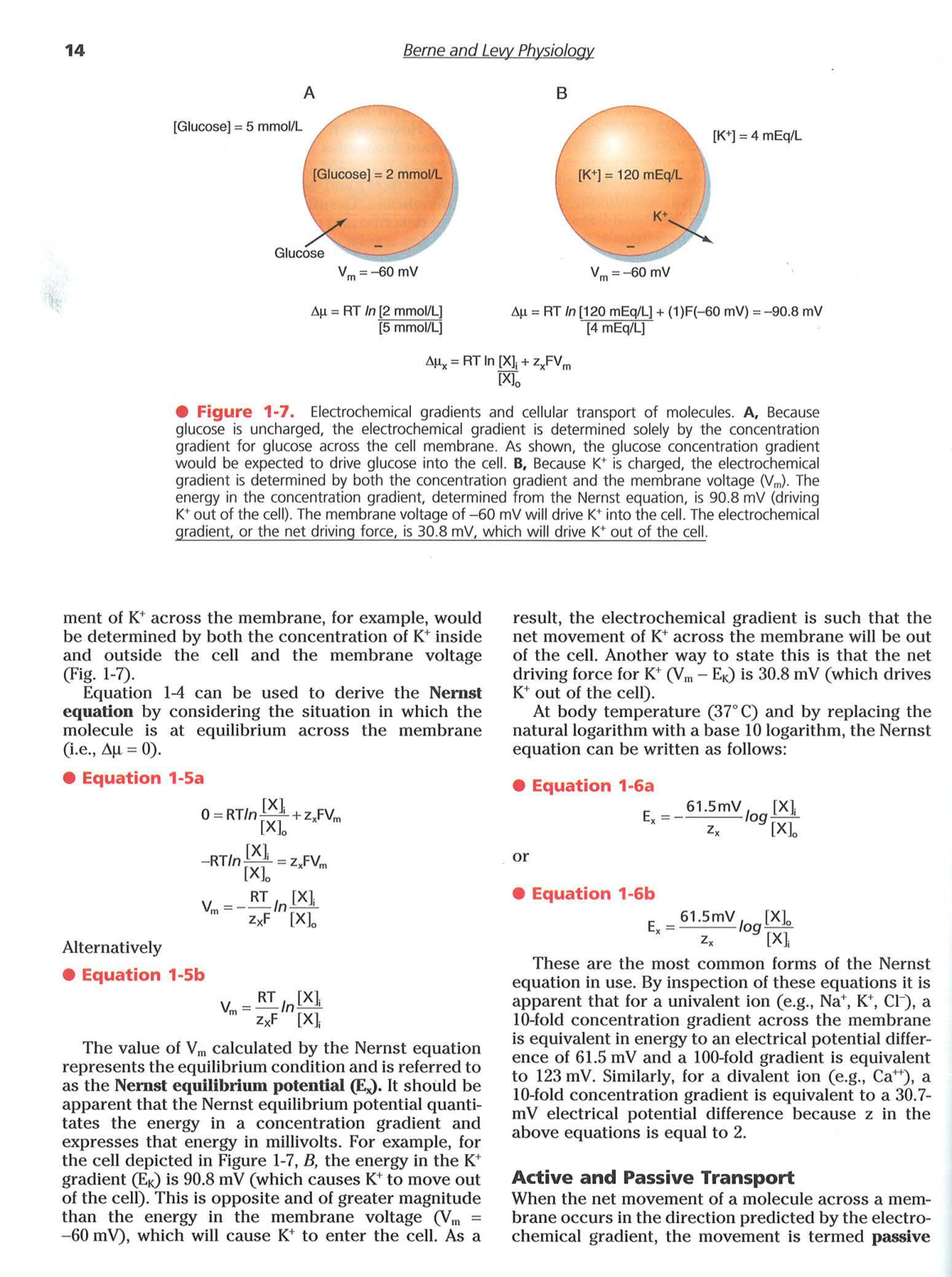 Berne-Levy 6ed 14-19 20-25 page 1