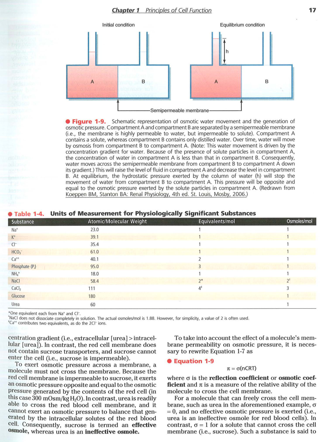 Berne-Levy 6ed 14-19 20-25 page 4