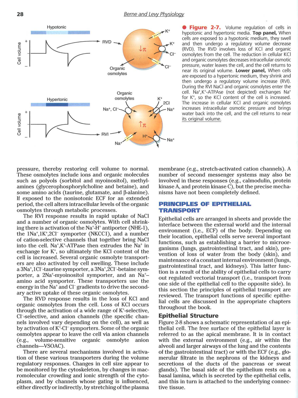 Berne-Levy 6ed 26-29 30-33 page 3