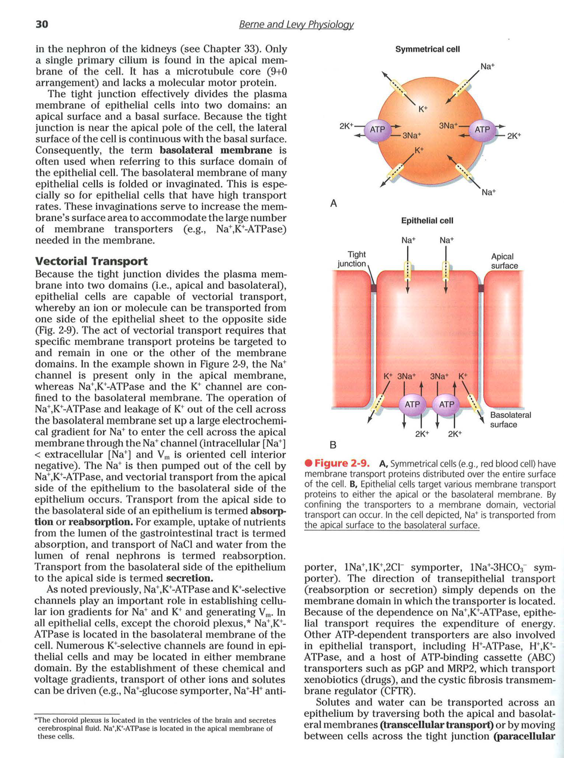 Berne-Levy 6ed 26-29 30-33 page 5