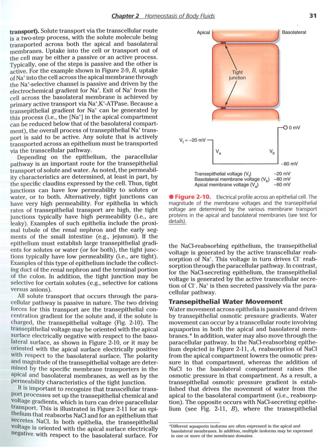 Berne-Levy 6ed 26-29 30-33 page 6