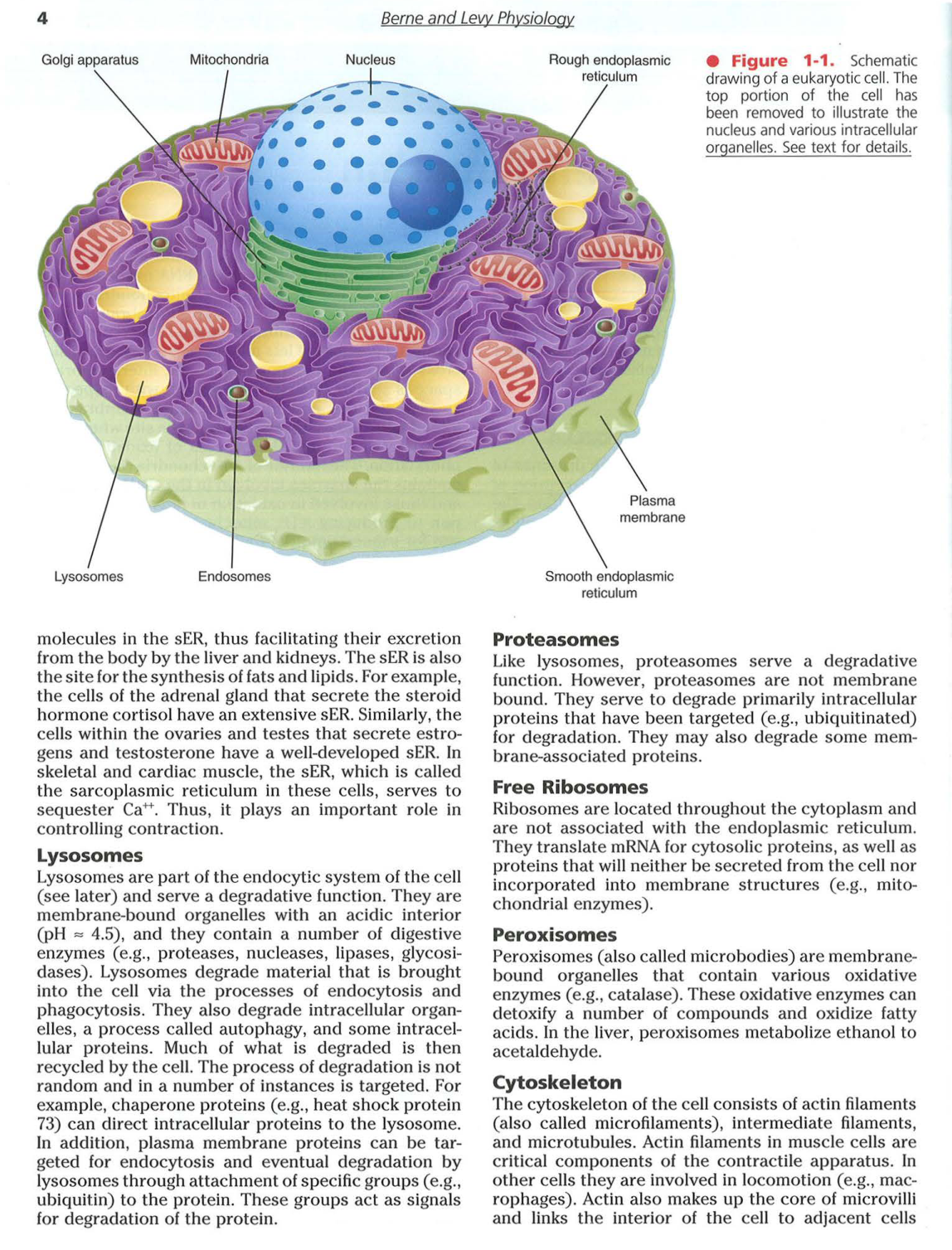 Berne-Levy 6ed 3-7 8-13 page 2