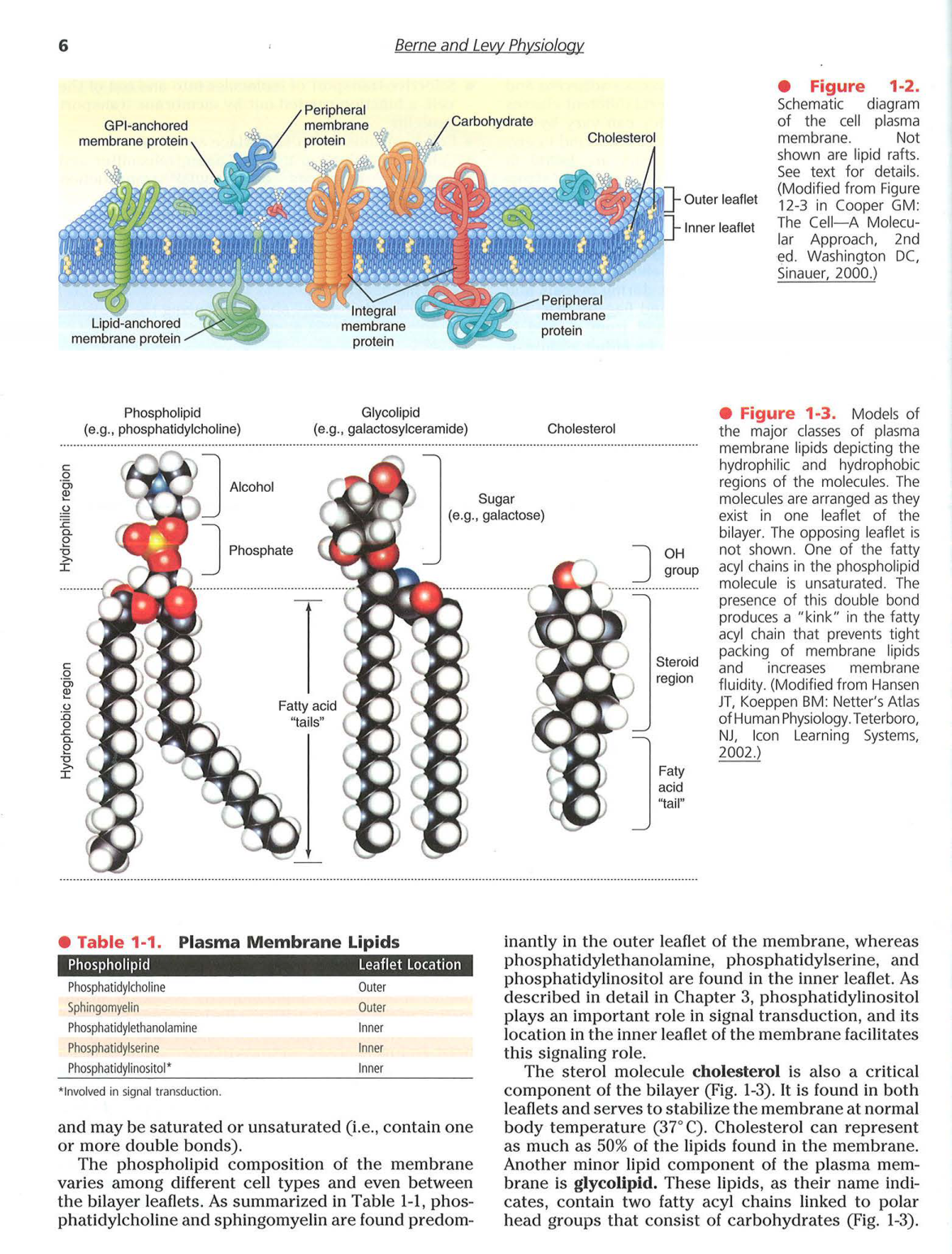 Berne-Levy 6ed 3-7 8-13 page 4