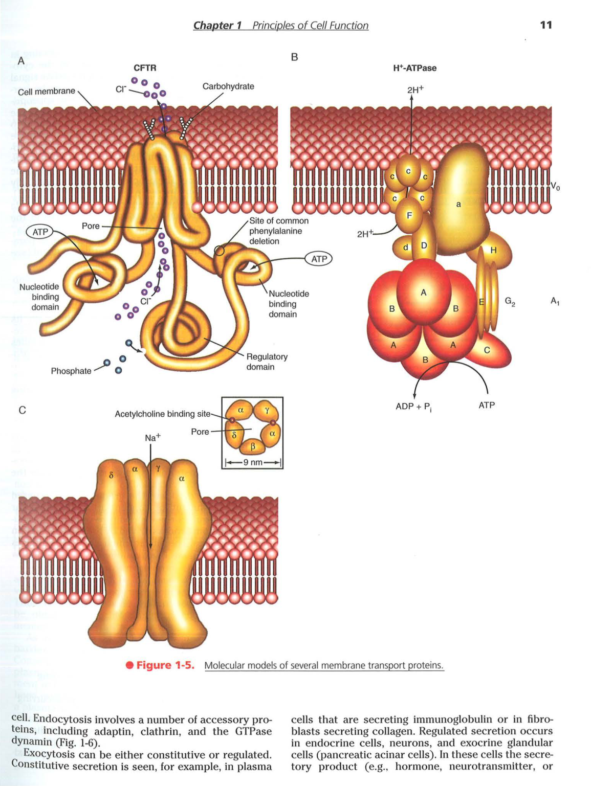 Berne-Levy 6ed 3-7 8-13 page 9