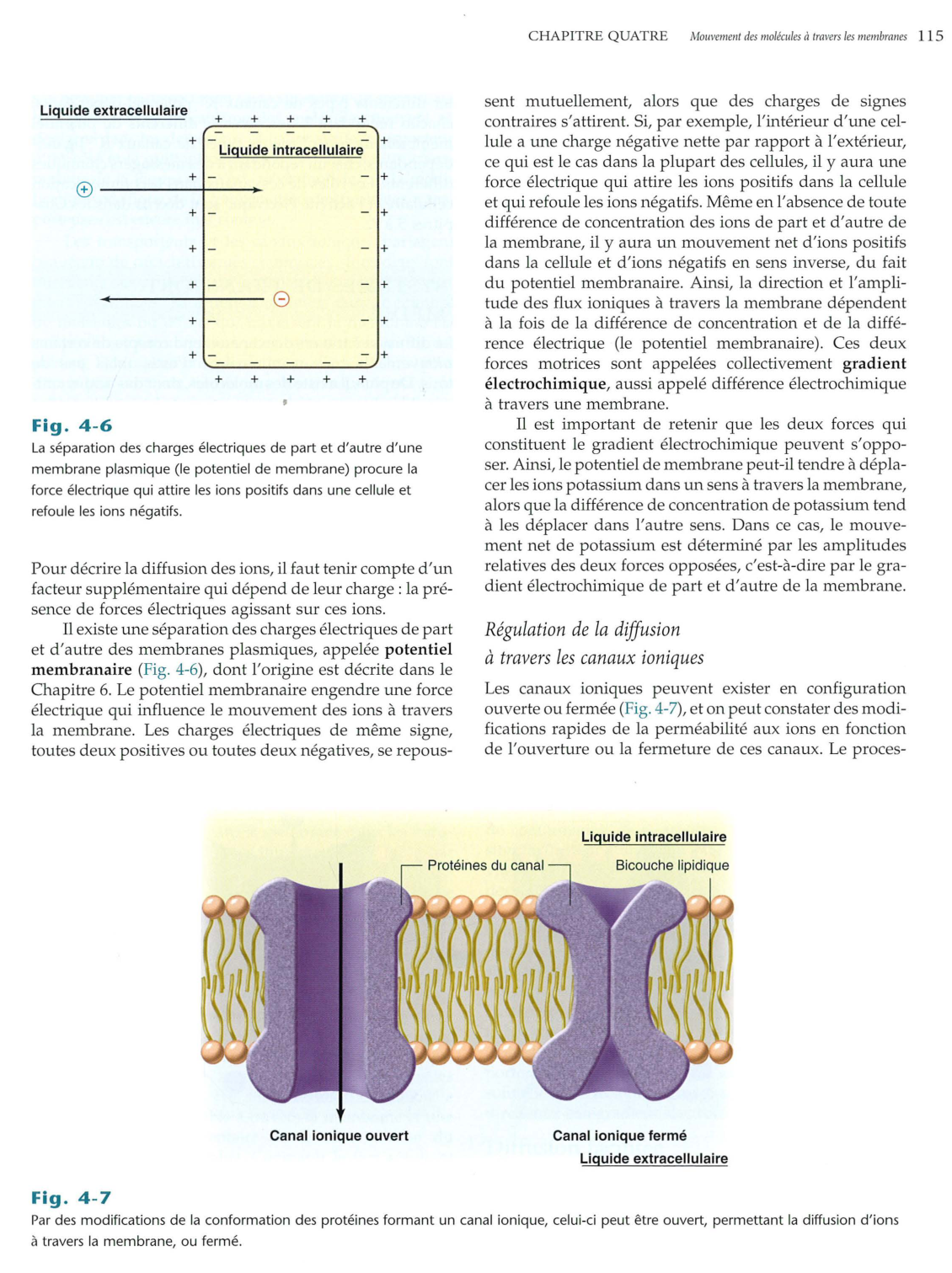 Vander 5ed 109-119 page 7