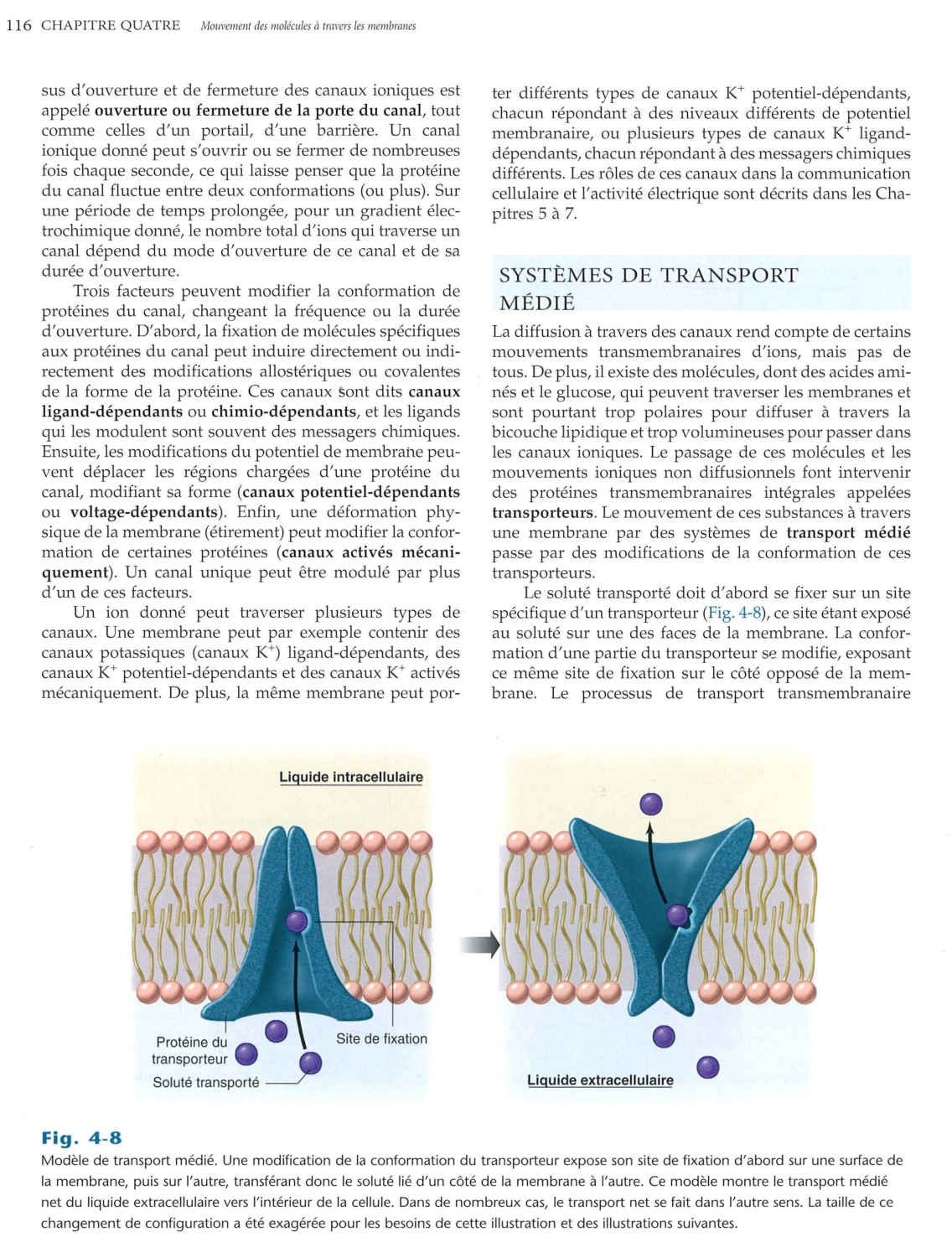 Vander 5ed 109-119 page 8